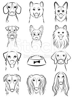 the dog's faces are drawn in black and white