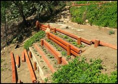 the stairs are made out of wood and have plants growing on them, along with other steps