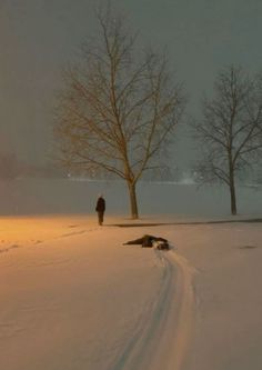 a person standing in the snow next to a tree and a dog laying on the ground