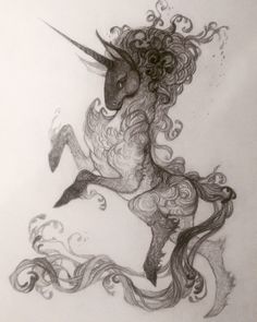 a drawing of a unicorn with long hair and horns on it's back legs