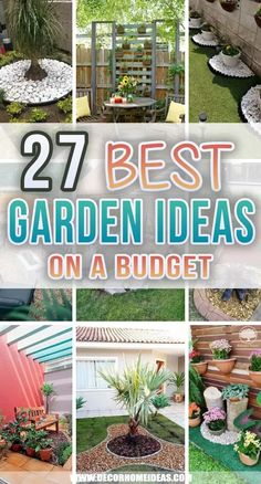 the best garden ideas on a budget