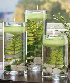 three glass vases filled with plants and rocks