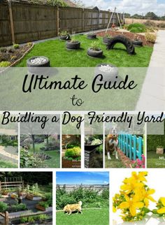 the ultimate guide to building a dog friendly yard with pictures and text overlays