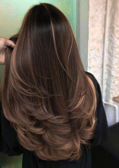 Hazelnut Hair Highlights, Cute Highlights For Brown Hair Straight, Dark Brown Hair With Hazelnut Highlights, Layers With Highlights Brunettes, Hazelnut Brown Highlights, Hazelnut Hair With Highlights, Brown Hair With Hazelnut Highlights, Hazelnut Brunette Hair, Hazelnut Brown Hair Balayage