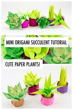 three different types of origami succulents