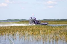 An airboat on the wetland at Lake Tohopekaliga near Orlando, Florida royalty free stock photography Florida Usa, Stock Photography Free, Orlando Florida, Orlando, Stock Photography, Royalty, Royalty Free