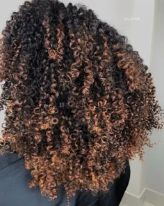 Natural Hair Balayage, Anna Character, Curl Inspiration, Natural Hair Highlights, Curly Highlights