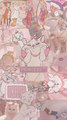 an assortment of princess themed items are shown in this collage with the word princess on it