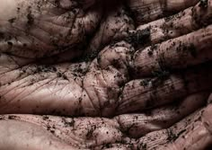 hands with dirt on them holding something in their palms and the other hand is full of dirt