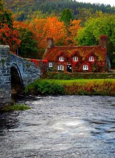 a river running through a lush green forest next to a stone bridge with red and orange leaves on it