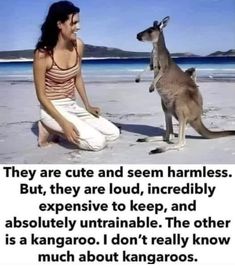 a woman kneeling down next to a kangaroo on top of a sandy beach with the caption saying, they are cute and seem