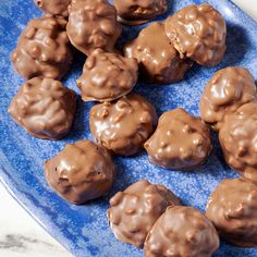 chocolate covered donuts are on a blue plate