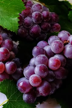 grapes with green leaves and water droplets on them