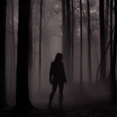 a person standing in the middle of a forest on a foggy day with trees