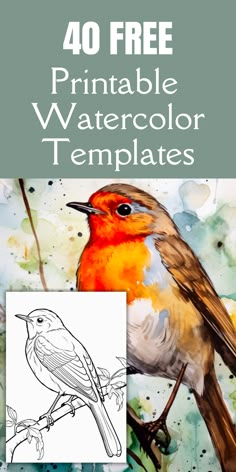 a bird sitting on top of a tree branch with the words, 40 free printable watercolor templates