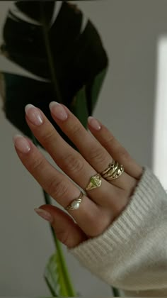 Lady Nails Classy, Long Nail Shape Ideas, Nails To Make You Look Tan, Light French Tip Nails, Nails Simplistic, Soft French Tip, Simple Nail Inspo Trendy, Simple Classic Nails, French On Natural Nails