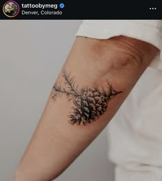 Pine Leaves Tattoo, Pine Leaf Tattoo, Pinecone Tattoo Minimalist, Colorado Tattoo Ideas, Pine Cone Tattoo, Pinecone Tattoo, Swedish Tattoo, Minnesota Tattoo, Small Nature Tattoo