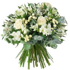 a bouquet of white flowers on a white background