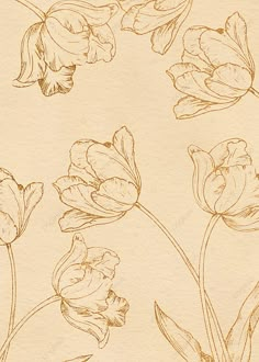 a drawing of some flowers on a piece of paper