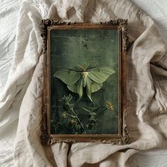 a moth is sitting on top of a white sheet in front of a green background