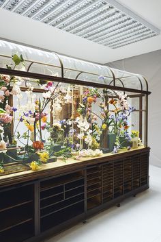 a fish tank filled with lots of flowers