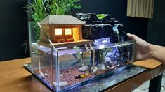 a person is holding up a small house in a fish tank with rocks and plants