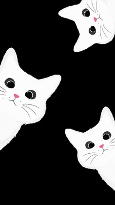 three white cats with black eyes are shown