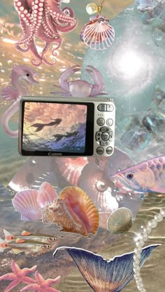 an underwater scene with shells, sea animals and other things floating in the ocean water