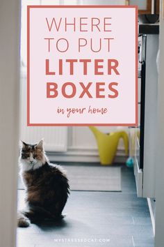 a cat sitting on the floor in front of a door with text where to put litter boxes in your home