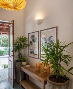 the entryway is decorated with potted plants and framed pictures on the wall above it