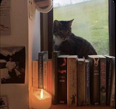 a cat sitting on top of a window sill next to books and a lit candle