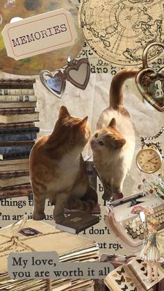 two cats standing next to each other in front of books and papers with words written on them