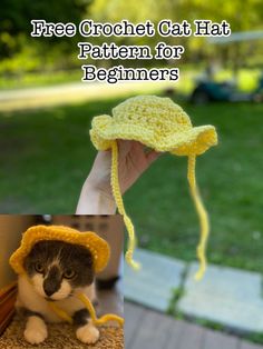 Crochet floppy hat for cats and small dogs Free Crochet Cat Hat, Crochet Pet Costumes, Crochet Cat Hat Pattern, Crochet Dog Hat Free Pattern