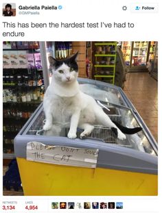 a black and white cat sitting on top of a food cart in a grocery store