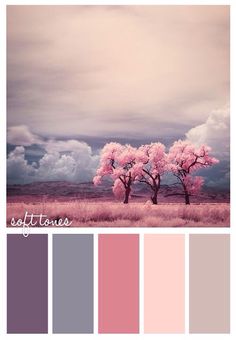 two pink trees in the middle of a field with cloudy skies above them and text that reads soft tones