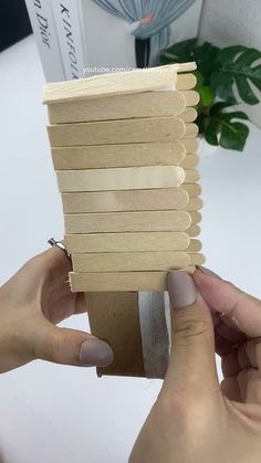 a person is holding a stack of wood strips in their hands, with a book behind them