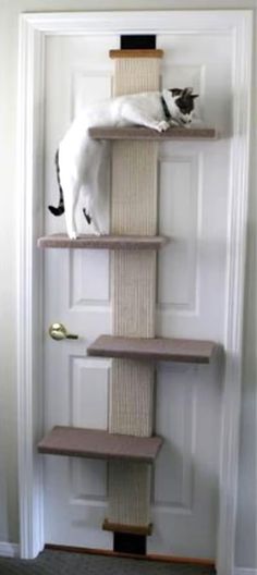 a cat sitting on top of a scratching tower