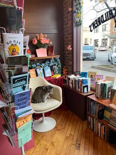 a cat is sitting on a chair in a book store