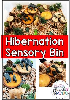 a collage of different pictures with the words hibernation sensory bin on it