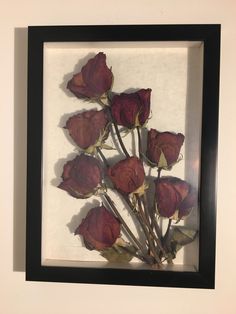 . #pressed #herbarium #art #silkpress #botany #photography Preserved Flowers Frame, Pressed Flowers Aesthetic, Cone Aesthetic, Dried Flowers Diy, Drying Roses, Flowers Diy, A Frame, Pressed Flowers