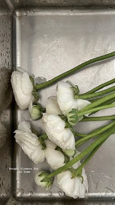 some white flowers are sitting in a silver tray