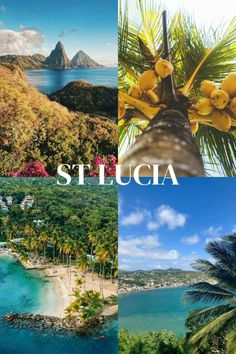 the collage shows several tropical scenes including palm trees, water and mountains in st lucia