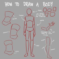 an image of how to draw a body