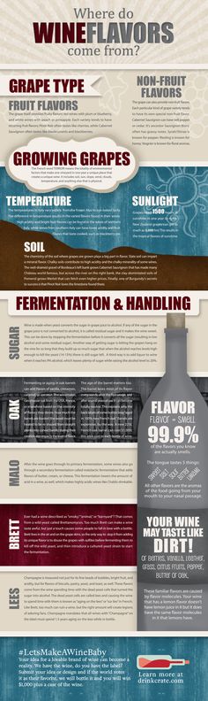 an info sheet describing the different types of wine