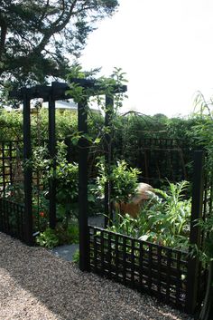 an outdoor garden with lots of plants and trees