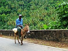 a man riding on the back of a donkey down a road