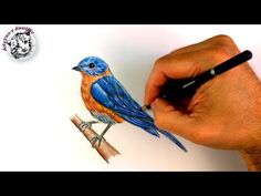 a drawing of a blue bird sitting on top of a tree branch next to a person's hand