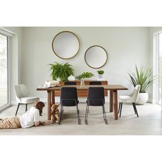 a dog laying on the floor in front of a table with two mirrors above it