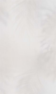 an abstract white background with palm leaves on the left and right side, in soft focus