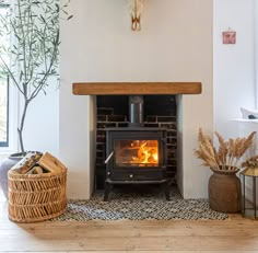 a wood burning stove sitting inside of a living room next to a potted plant